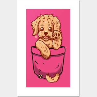 Pocket Labradoodle Puppy Posters and Art